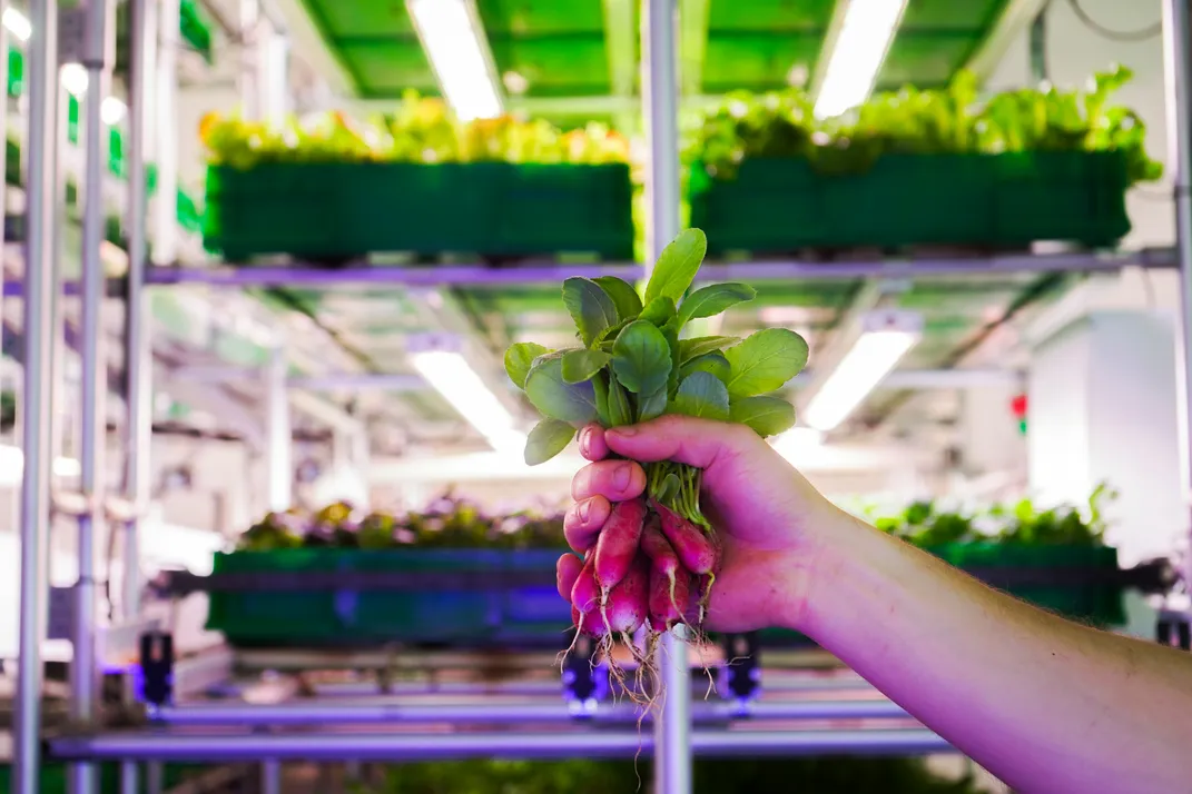 Empty Office Buildings Are Being Turned Into Vertical Farms