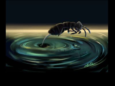 An illustration of a springtail jumping