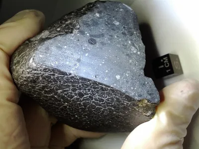 The space rock, recovered from the Western Sahara of Africa in 2011, formed 4.5 billion years ago and slammed into Earth after an asteroid impact sent it flying across space five to ten million years ago.