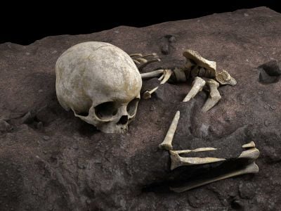 A virtual reconstruction of the child’s remains found in Panga ya Saidi cave in Kenya
