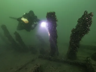 The timbers of a 500-year-old ship rest on the floor of the Baltic Sea. Scholars and divers are studying the legendary wreck.