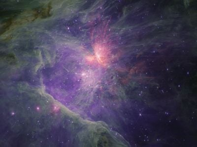 The James Webb Space Telescope captured this long-wavelength color composite image of the Orion Nebula using its Near Infrared Camera (NIRCam) instrument.