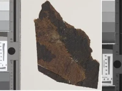 New fragments of the Dead Sea Scrolls with writing visible.